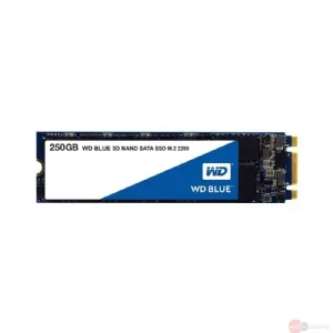 Western Digital Blue SSD 250GB Veri Diski 2.5'' Dahili M.2 Sata 560Mb/s WDS250G2B0B Hemen Al