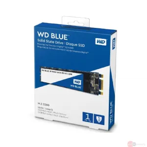 Western Digital Blue SSD 250GB Veri Diski 2.5'' Dahili M.2 Sata 560Mb/s WDS250G2B0B Satın Al